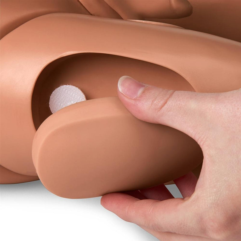 1-Year Multipurpose Patient Care and CPR Pediatric Simulator, Medium