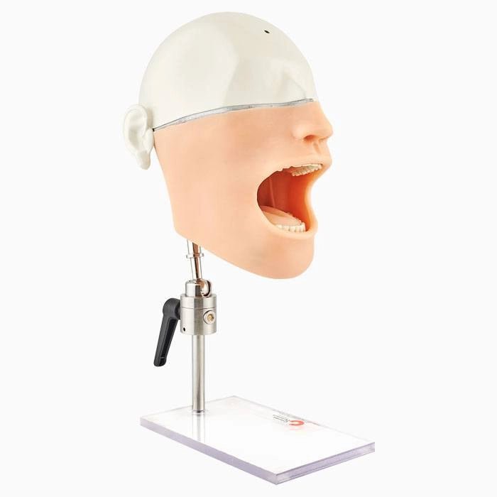 10-Sensor Oral Anesthesia Training Manikin