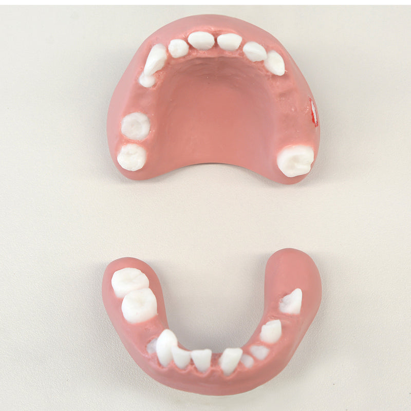 Oral Care Simulator Advanced