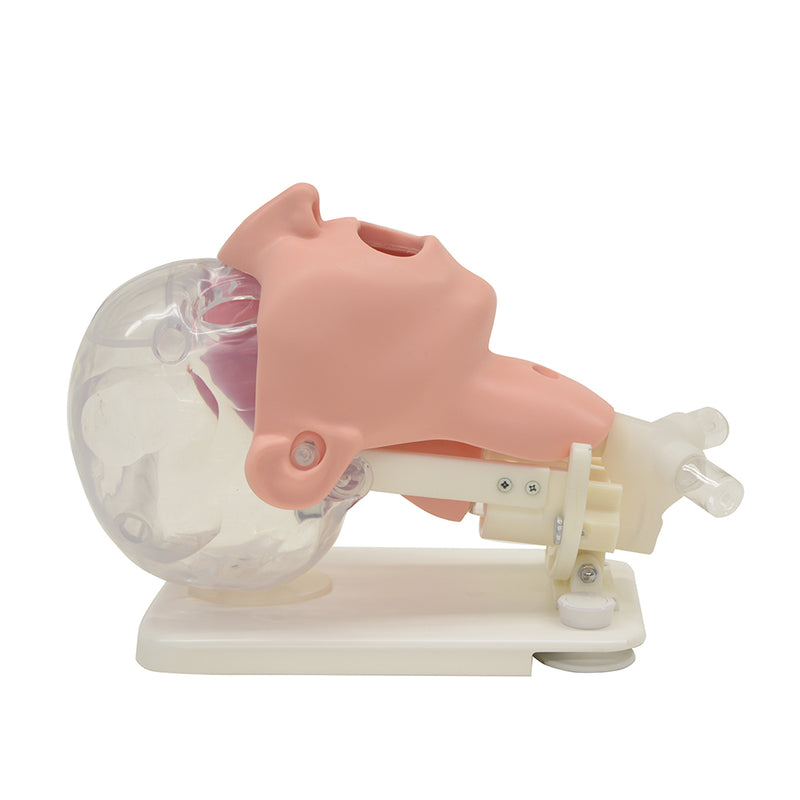 Oral Care Simulator Advanced