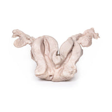3D Printed Uterus Bicornuate Unicollis