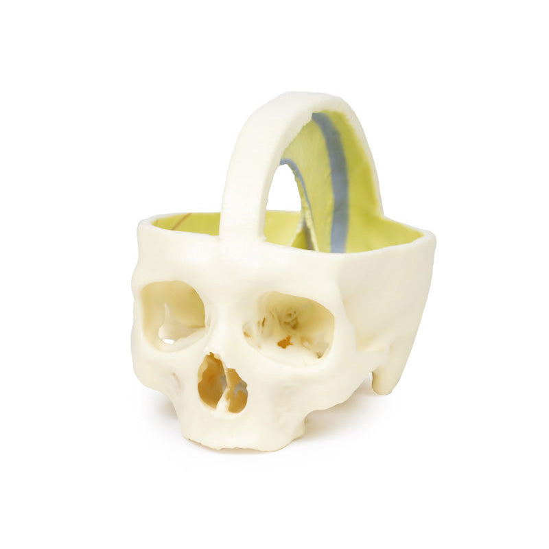 3D Printed Dural Skull Model