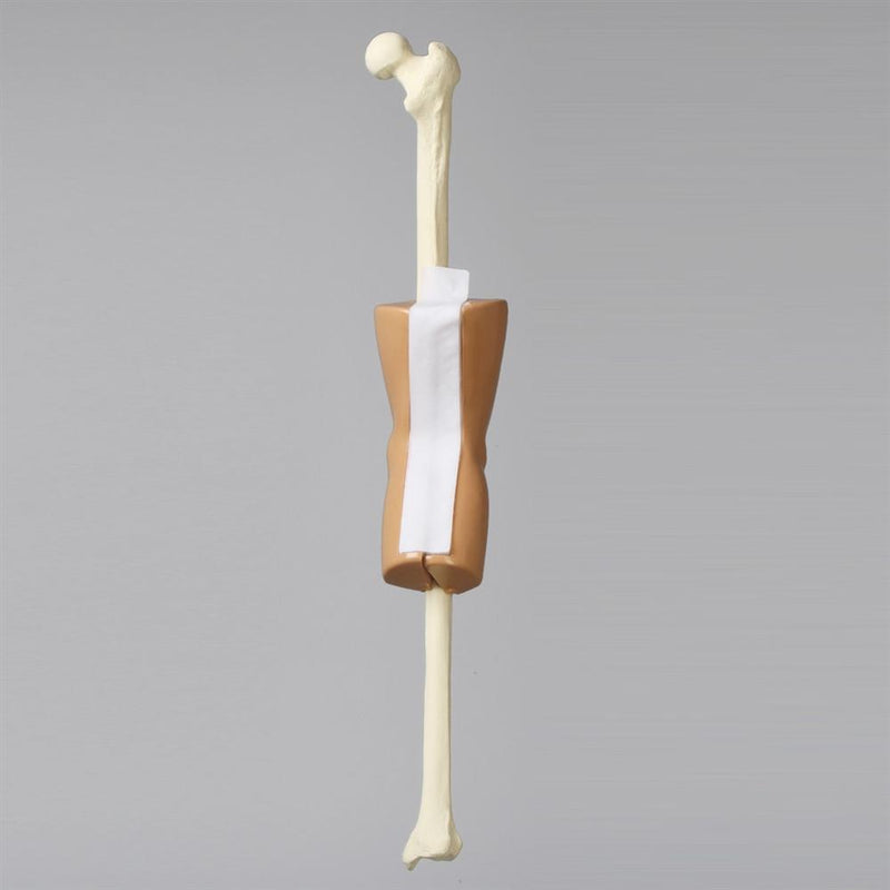 ACL Knee Arthroscopy Trainer