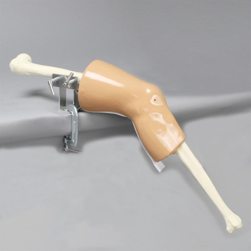 ACL Knee Arthroscopy Trainer