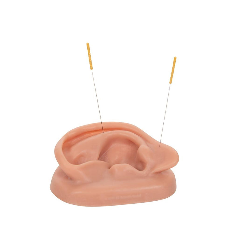 Acupuncture Ear Model, Left