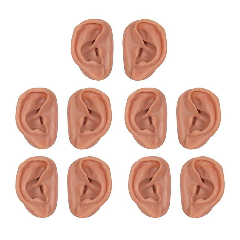 Acupuncture Ear Models, Set for 10 Students