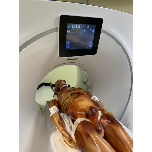 Adult Full Human Body Phantom for X-Ray CT & MRI Training ...