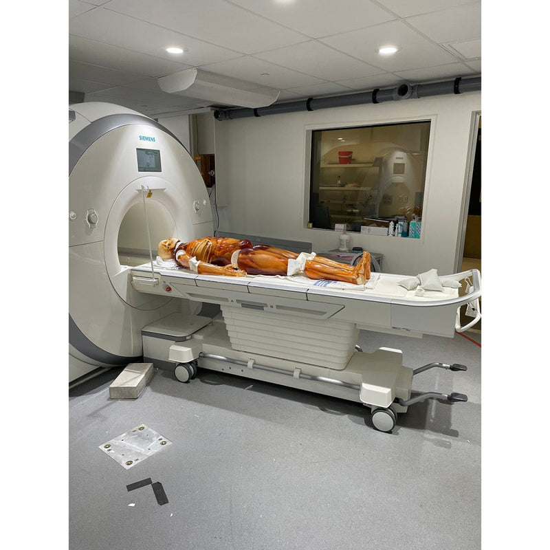 Adult Full Human Body Phantom for X-Ray, CT Scan and Ultrasound