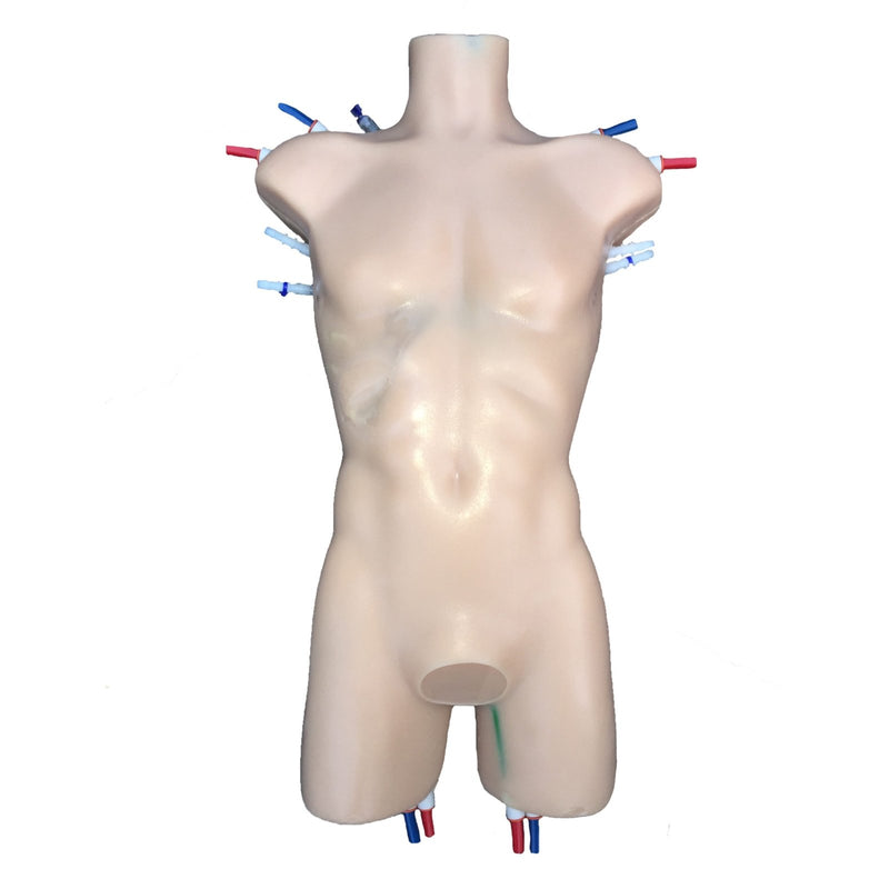 Advanced Adult Torso for X-Ray CT and Ultrasound