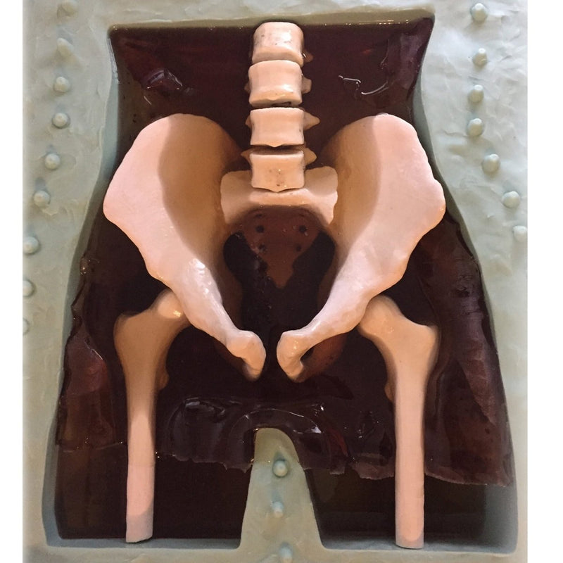 Adult Pelvis Phantom with Prostate for X-Ray CT and MRI