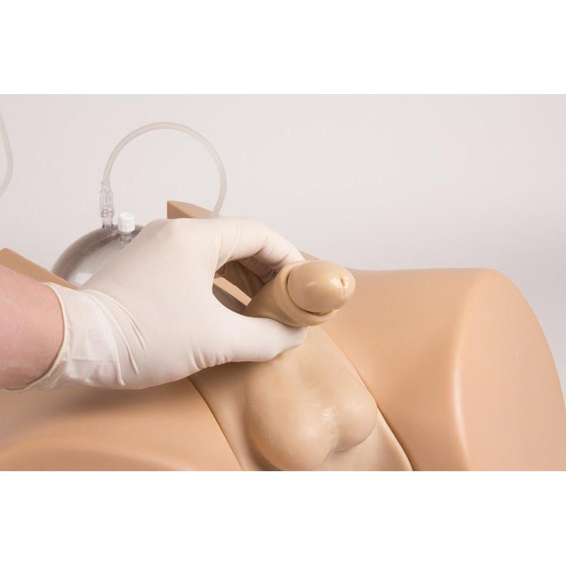 Advanced Catheterization Trainer with Male and Female Genital Insert