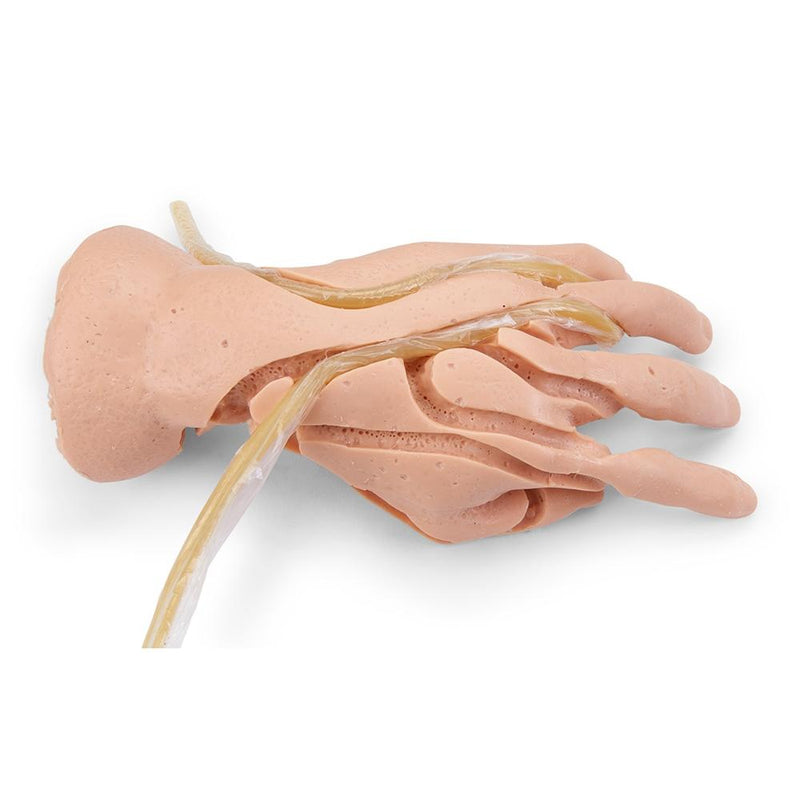 Advanced IV Hand Replacement Skin and Veins, Light