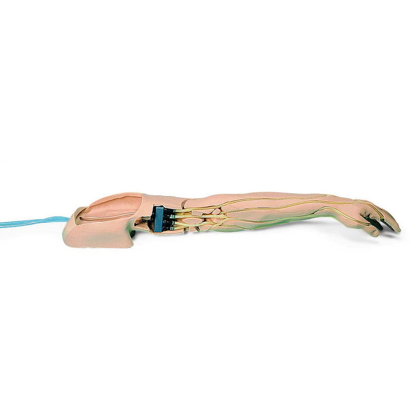 Advanced Multi-Venous IV & Injection Arm, Light Skin Tone