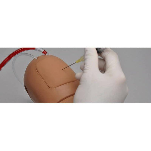 Advanced Multipurpose Venous Training Arm For IV, IM, and Sub-Q Practi ...