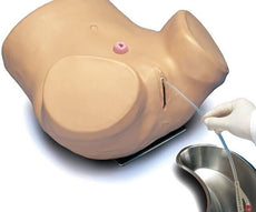 Advanced Patient Care Female Catheterization Simulator, Medium