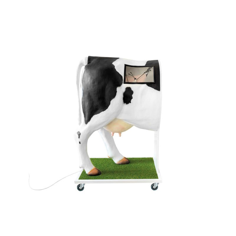 Advanced Simulator For Artificial Insemination (Ai) of the Cow