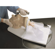 Airway Larry Adult Airway Management Trainer with Stand