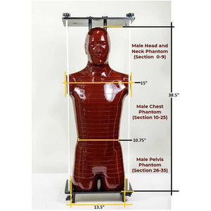 Alderson Radiation Therapy (ART) - Male Full Phantom