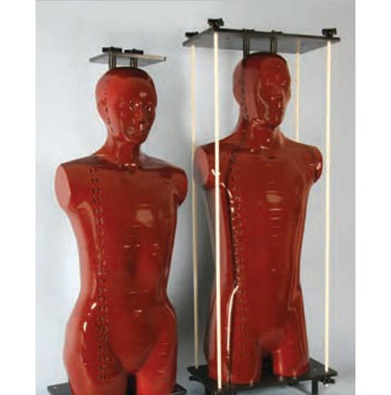 Alderson Radiation Therapy (ART) - Male Pelvis Phantom