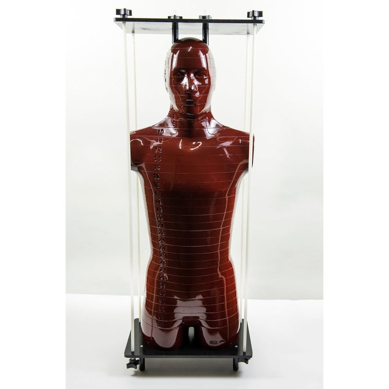Alderson Radiation Therapy (ART) - Male Pelvis Phantom
