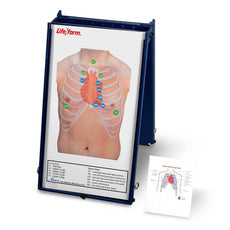 Anterior Auscultation Practice Board with Case Only