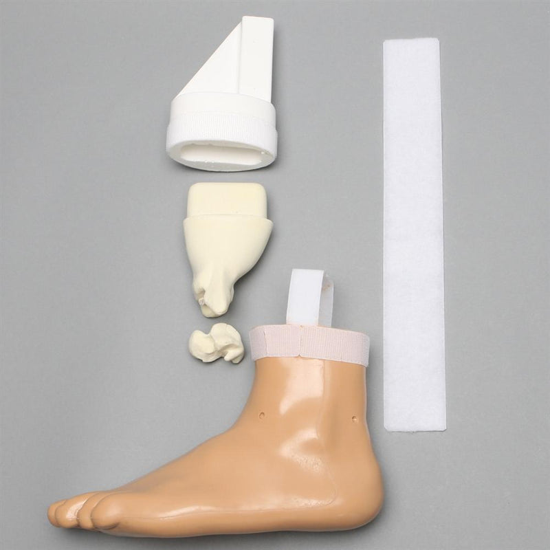 Arthroscopy Foot and Ankle Model
