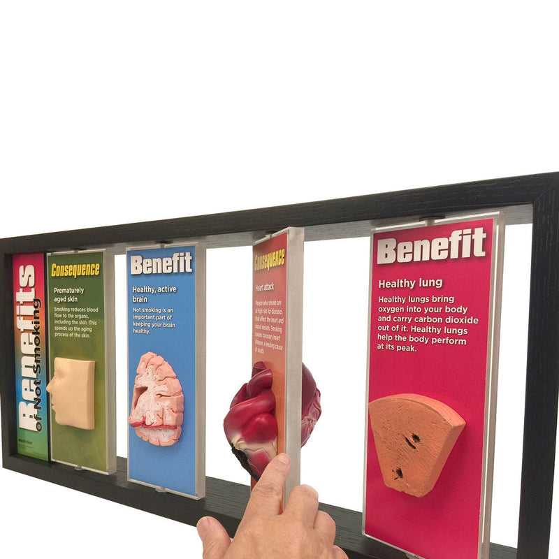 Benefits Of Not Smoking 3-D Display