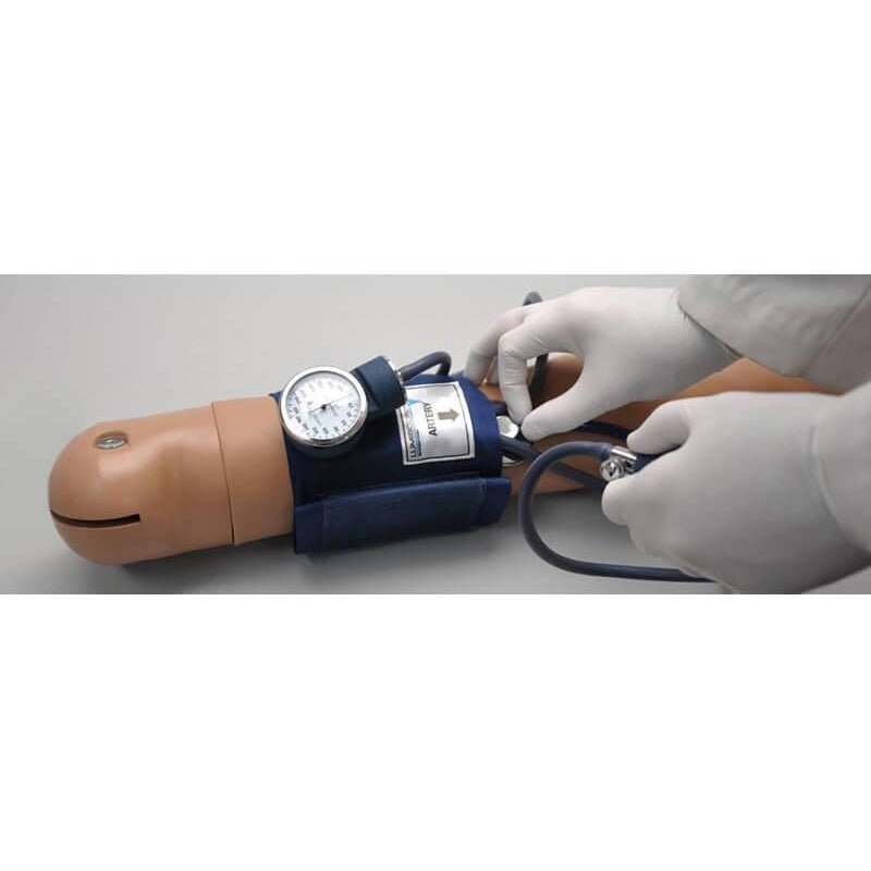 Blood Pressure Training System with Omni, Medium