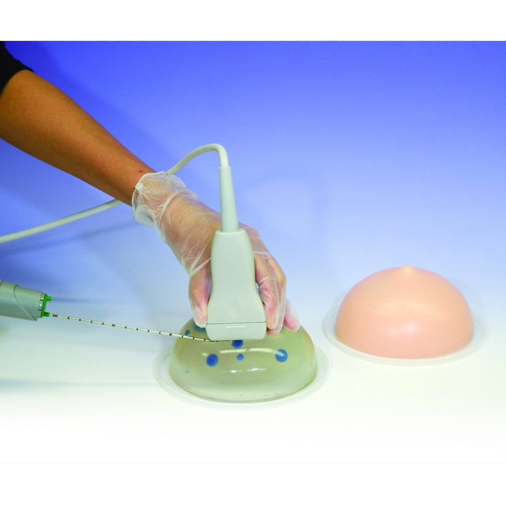 Breast Biopsy Training Model