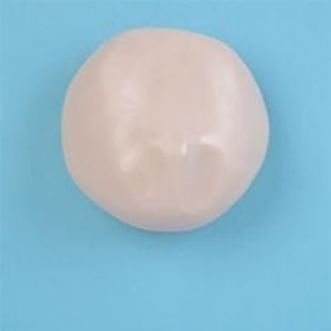 Breast Examination Simulator - Breast Replacement, Left