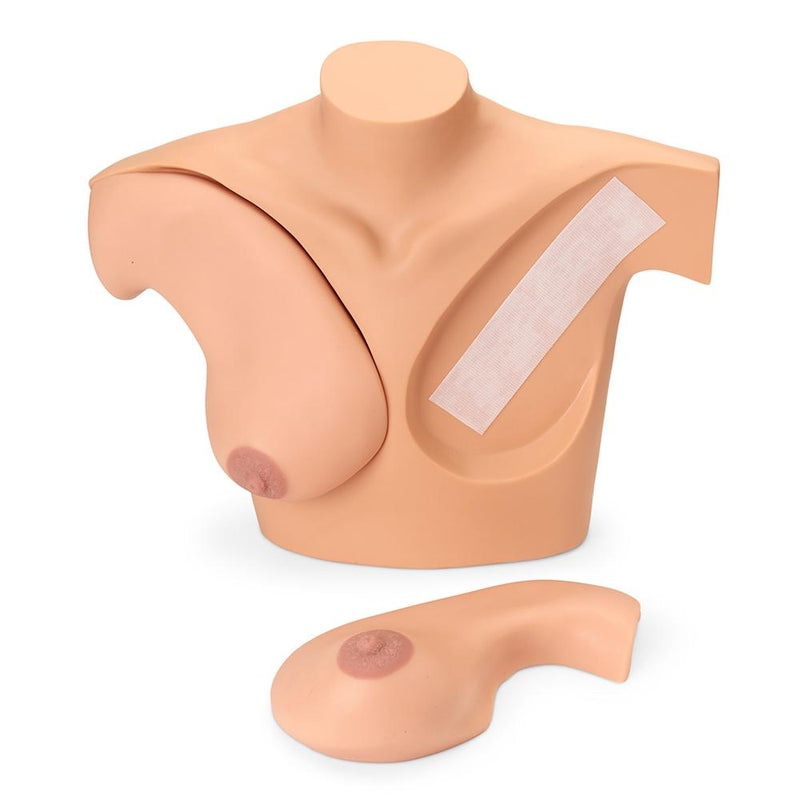 Breast Examination Simulator, Light