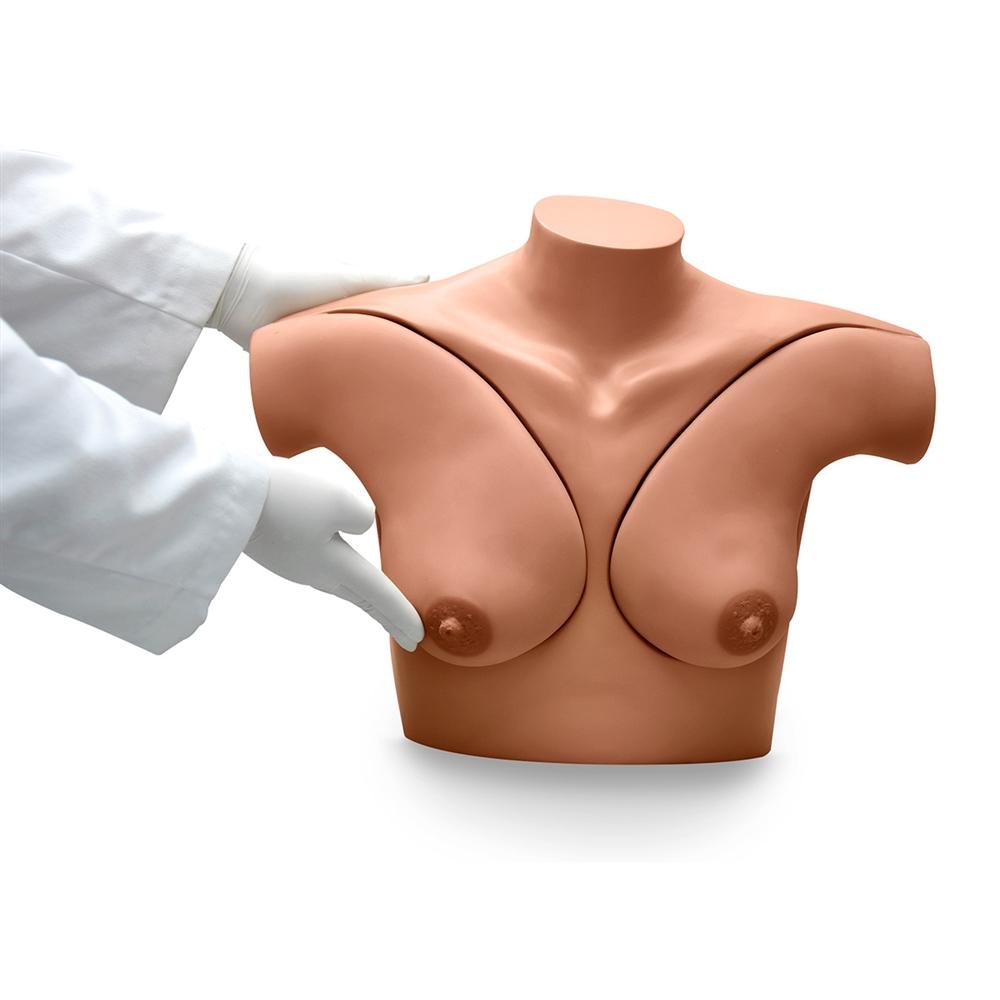 Breast Examination Simulator, Medium –