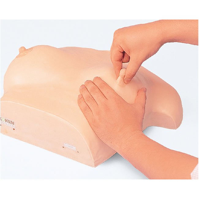 Breast Massage Model Type Ⅱ