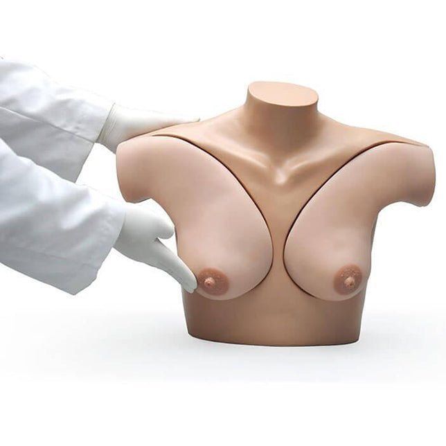 Breast Palpation Simulator for Clinical Teaching, Dark