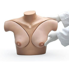 Breast Palpation Simulator for Clinical Teaching, Light