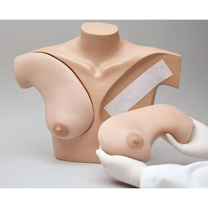 Breast Palpation Simulator for Clinical Teaching, Light