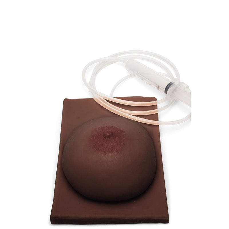 Basic Breast Lactation Model