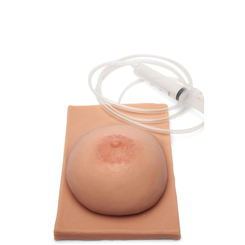 Basic Breast Non-lactation Model