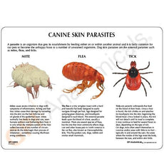 Canine Parasites Model