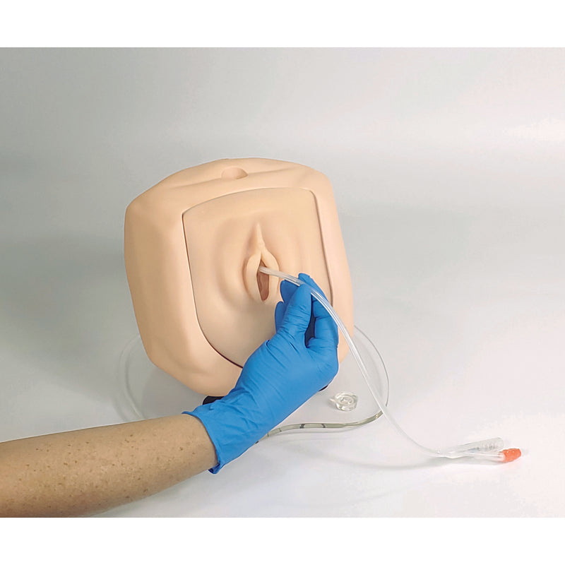 Male and Female Catheterization Simulator Set - Light Skin