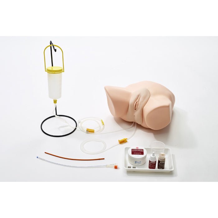 Catheterization & Enema Simulator - Male and Female Genitalia Set