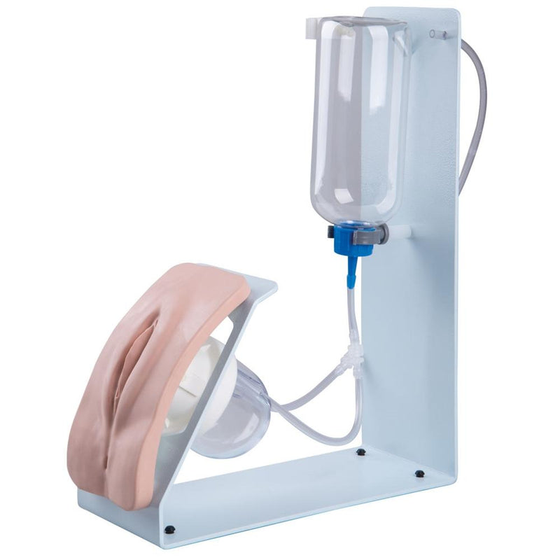 Catheterization Simulator, Basic Female