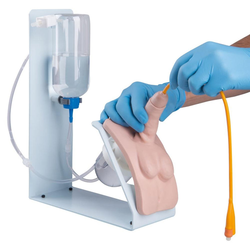 Catheterization Simulator Set, Basic