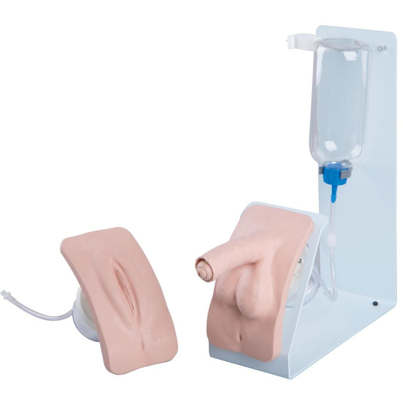 Catheterization Simulator Set, Basic