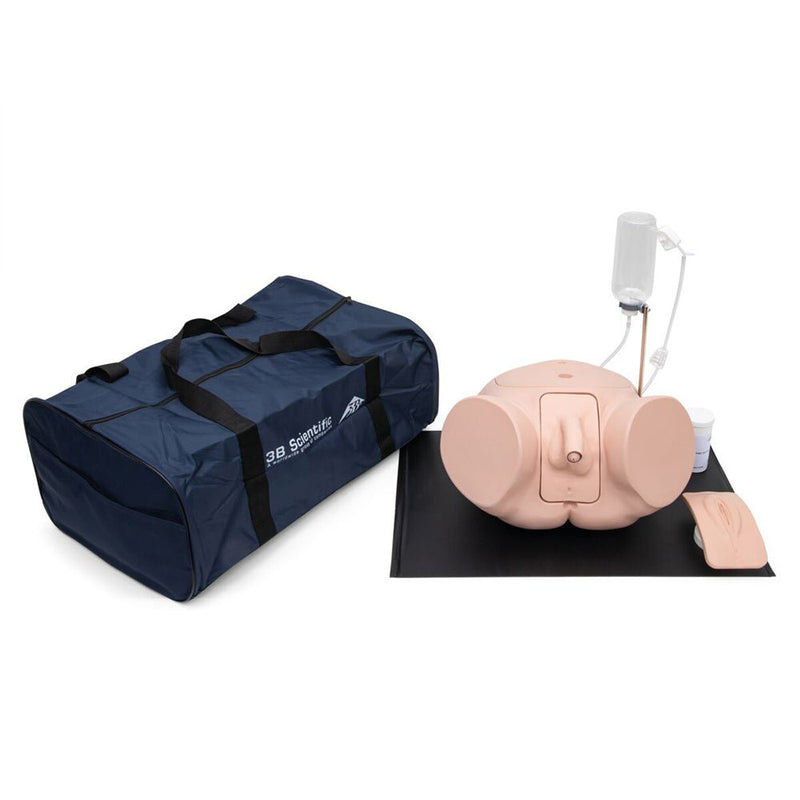 Catheterization Trainer Simulator Set PRO Version, Male and Female