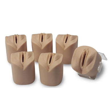 OB/GYN | Gynecologic Palpation and Dilatation Trainers – GTSimulators.com