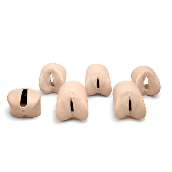 Cervical Dilation Modules for Obstetric Susie®, Light – GTSimulators.com