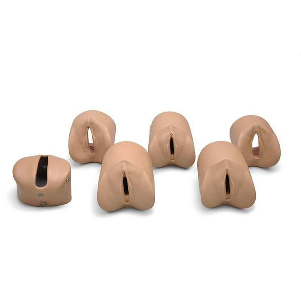 Cervical Dilation Modules for Obstetric Susie®, Medium – GTSimulators.com
