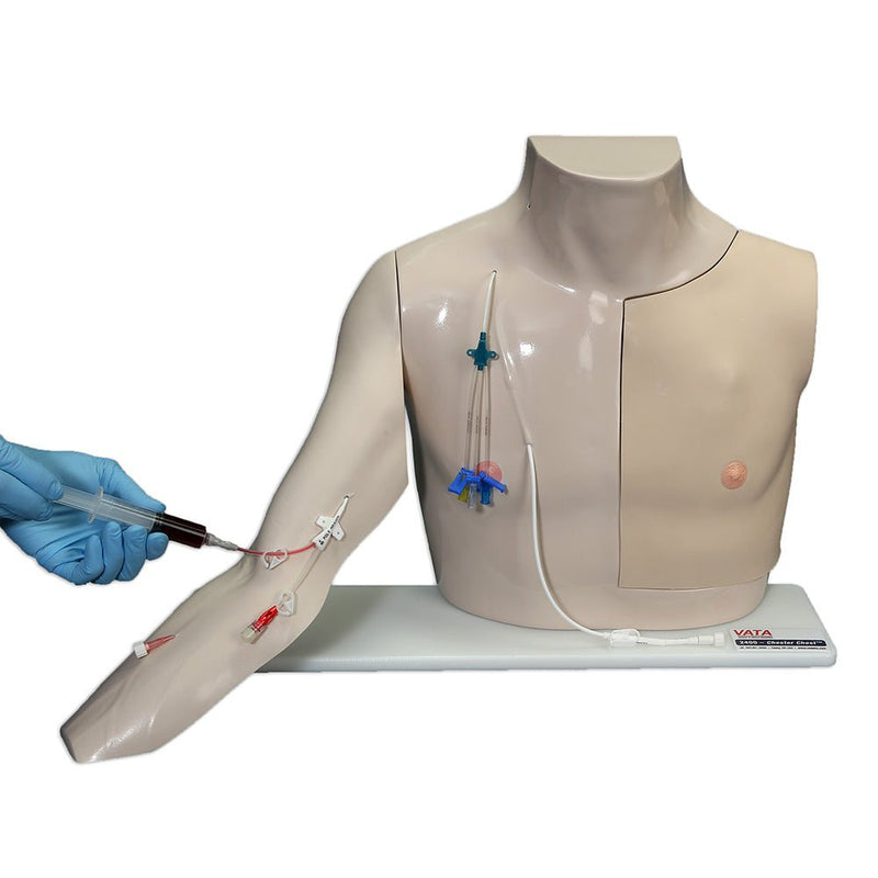Chester Chest™ Vascular Access Simulator With Standard Arm, Light
