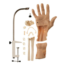 CLA Arthroscopic Model of the Wrist